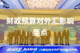 财政预算对外汇影响要点